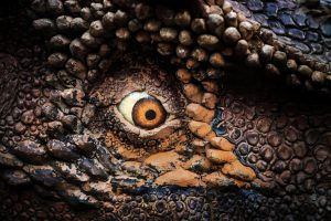 Read more about the article Inflation, interest rates, and Jurassic Park – they’re all killing the economy.